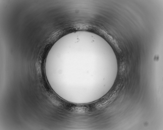 X0000103440209200810031421