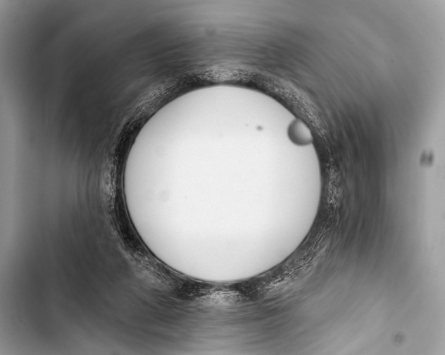 X0000103440210200810031421