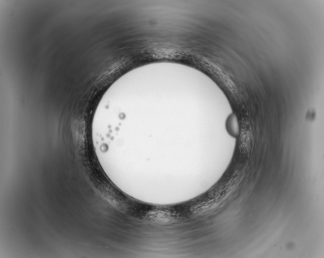 X0000103440211200810031421
