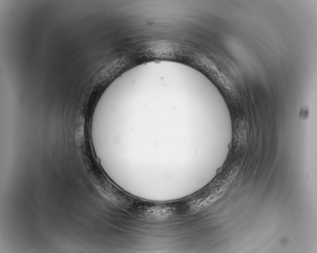 X0000103440213200810031421