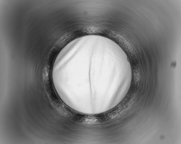 X0000103440214200810031421