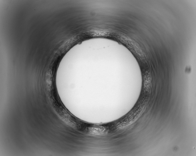 X0000103440215200810031421