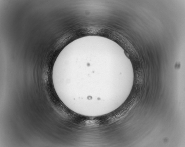 X0000103440216200810031421