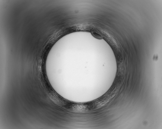 X0000103440217200810031421