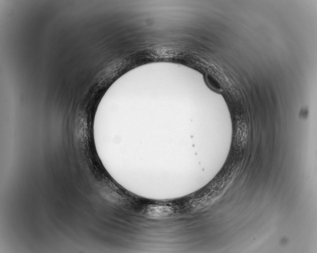 X0000103440220200810031421