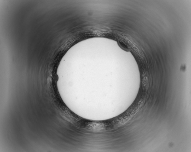 X0000103440221200810031421