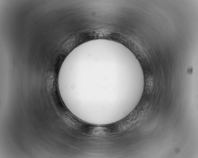 X0000103440222200810031421