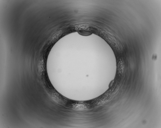 X0000103440224200810031420