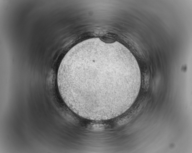X0000103440228200810031420