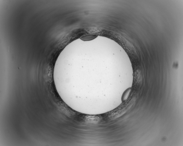 X0000103440234200810031420