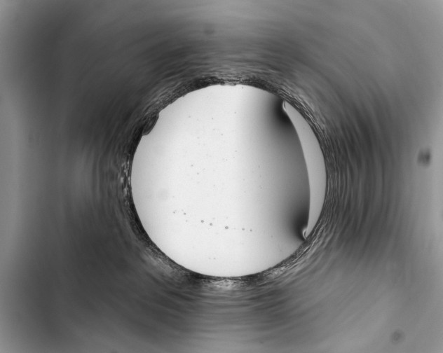 X0000103440237200810031420