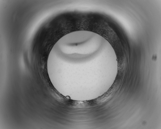 X0000103440239200810031420