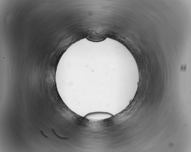 X0000103440240200810031420