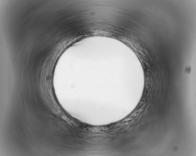 X0000103440241200810031419