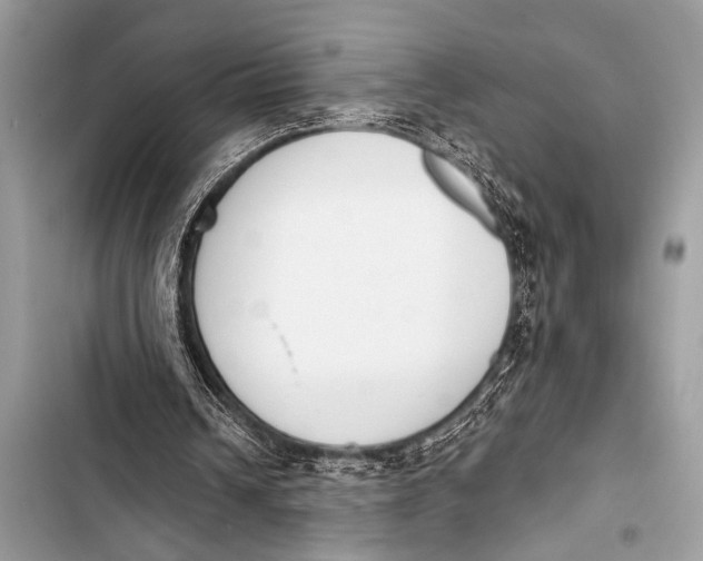 X0000103440242200810031419