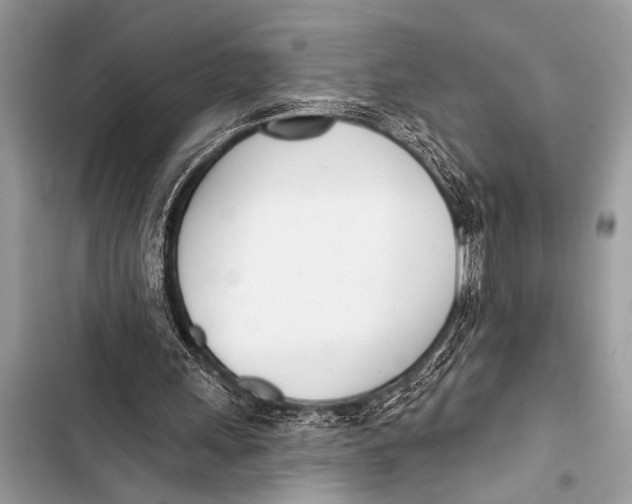 X0000103440243200810031419