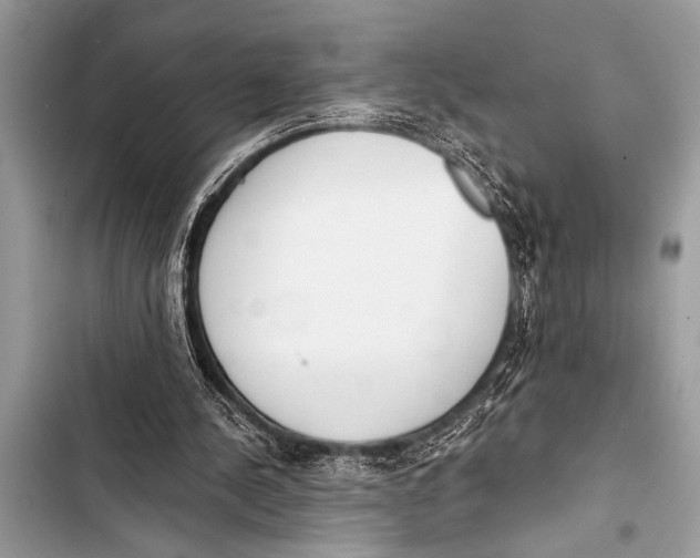 X0000103440244200810031419