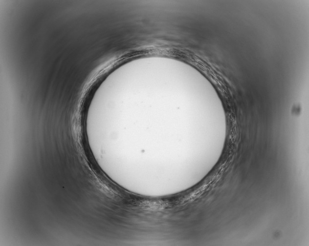 X0000103440245200810031419