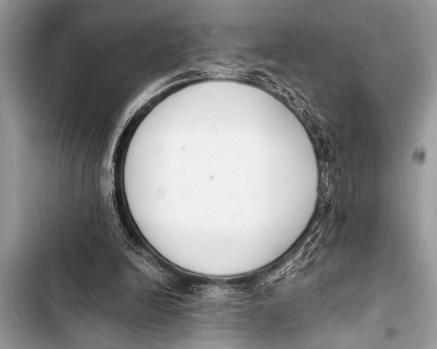 X0000103440246200810031420