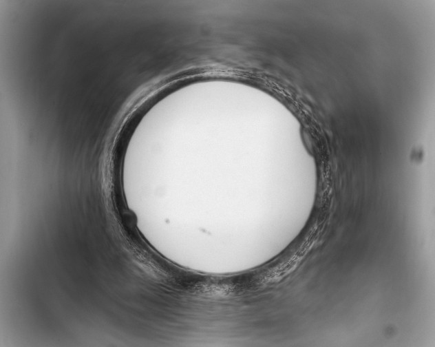 X0000103440247200810031420