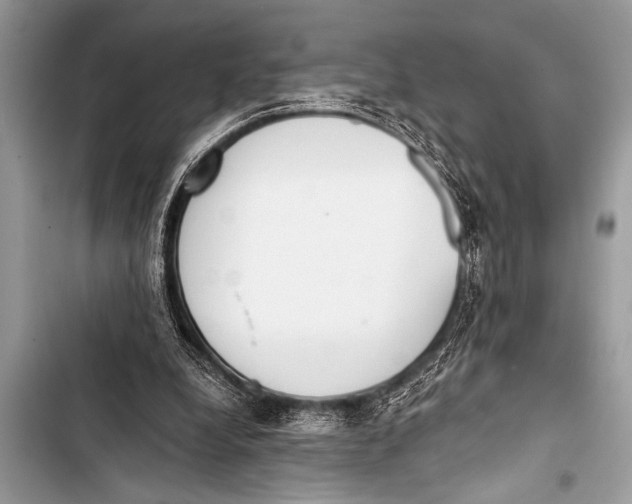 X0000103440248200810031420