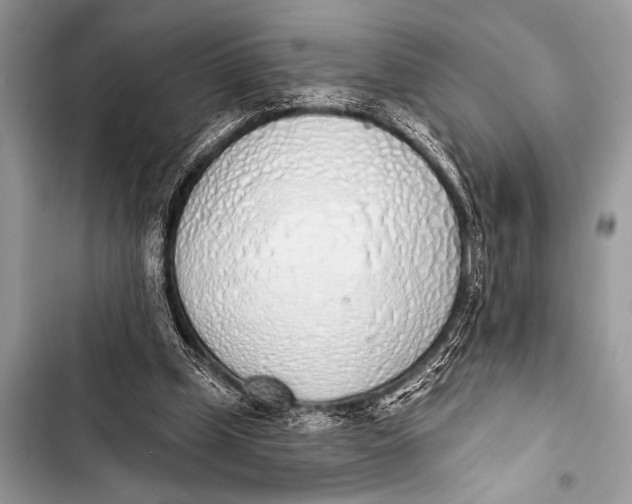 X0000103440249200810031420