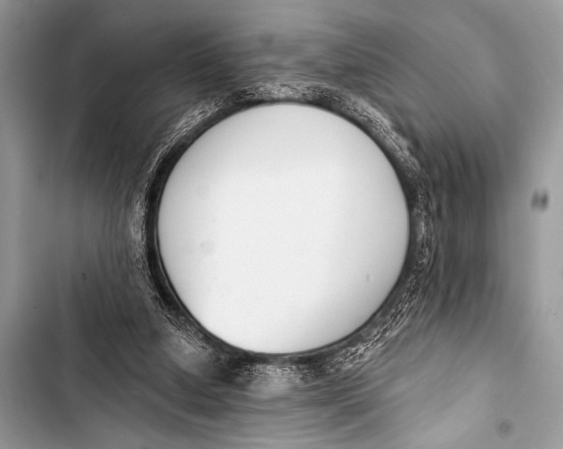 X0000103440250200810031420