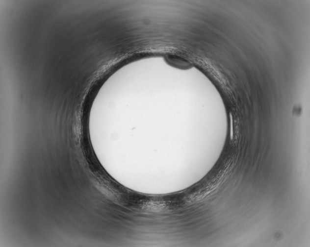 X0000103440252200810031420