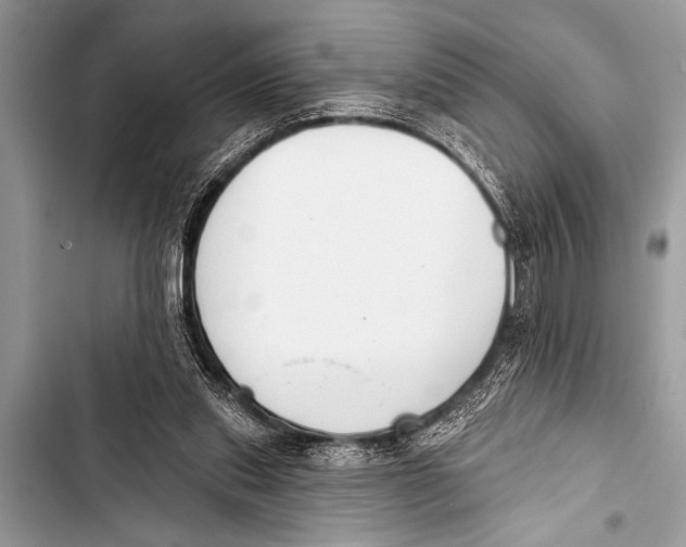 X0000103440253200810031420