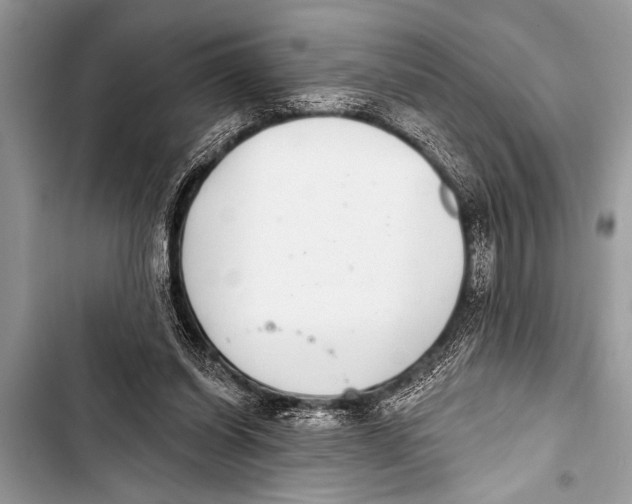 X0000103440254200810031420