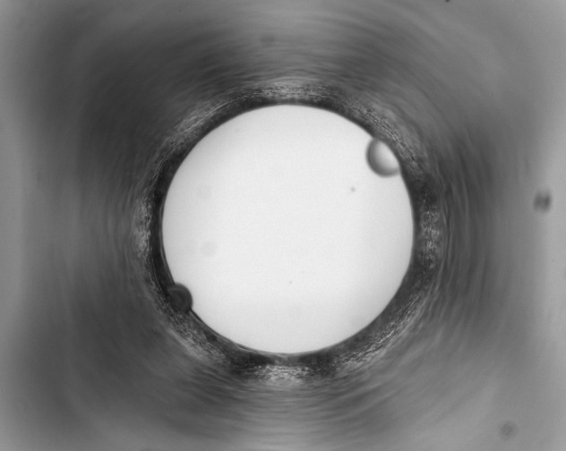 X0000103440255200810031420