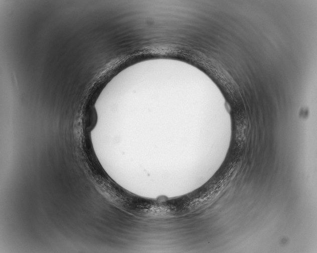 X0000103440256200810031420