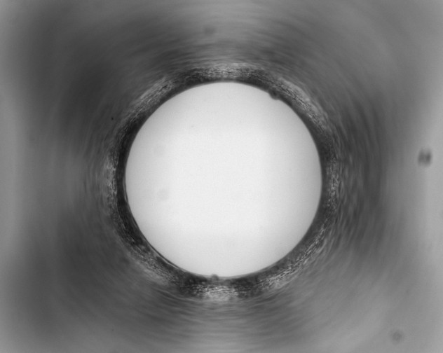 X0000103440258200810031420