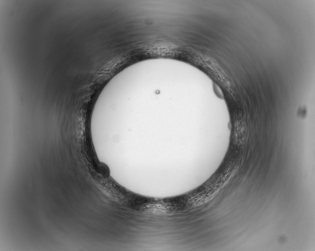 X0000103440259200810031420