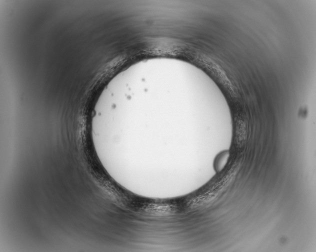 X0000103440260200810031420