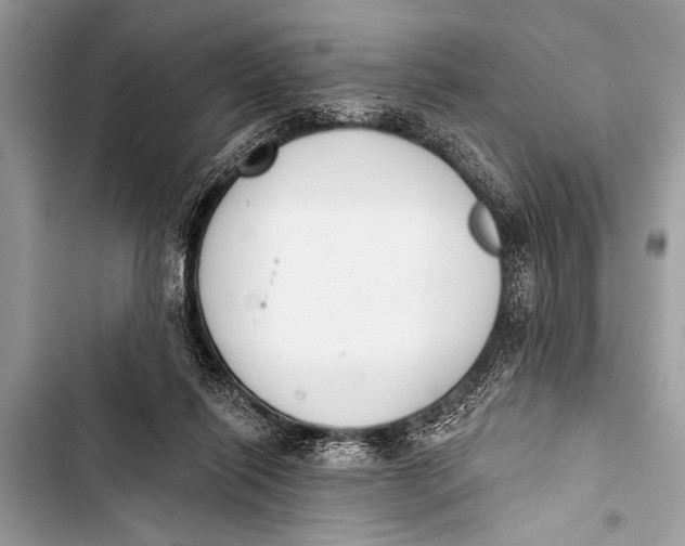 X0000103440262200810031420