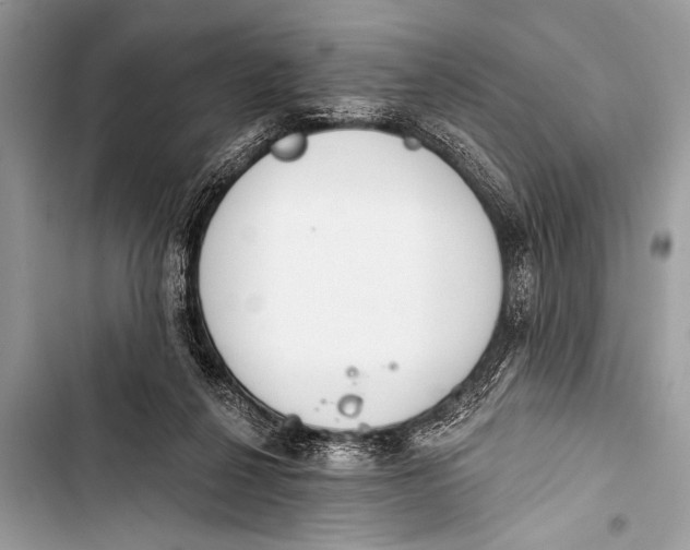 X0000103440264200810031420