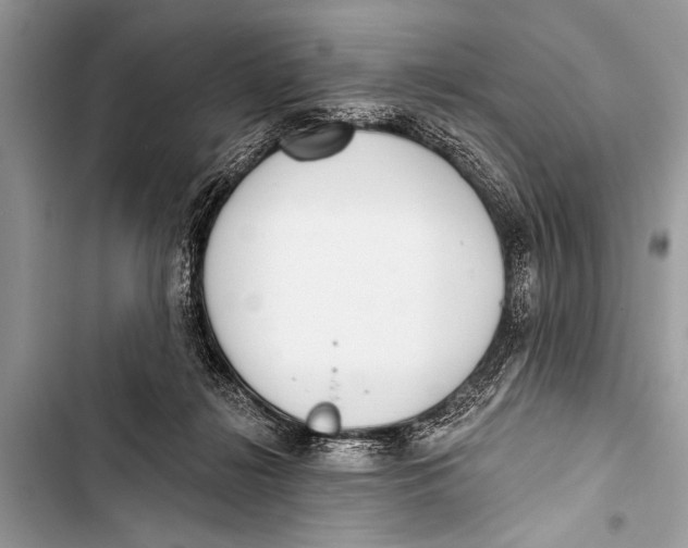 X0000103440268200810031420