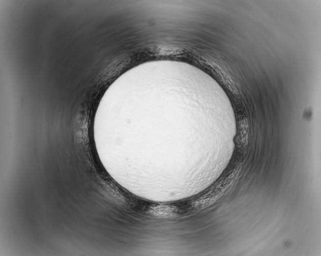 X0000103440269200810031420