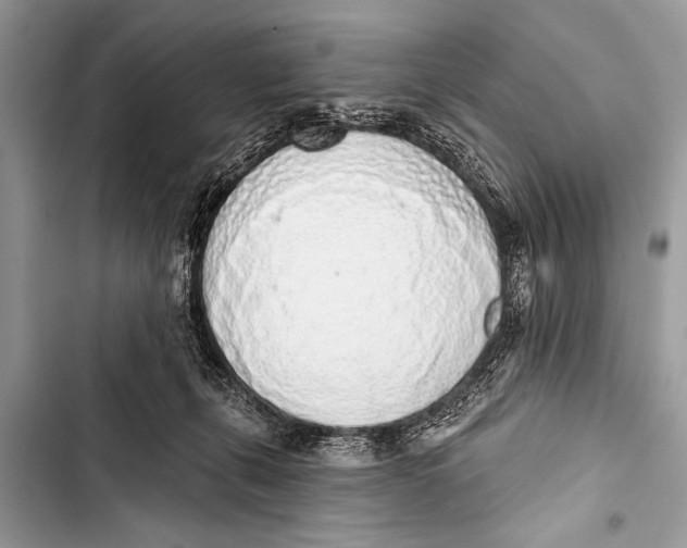 X0000103440271200810031420