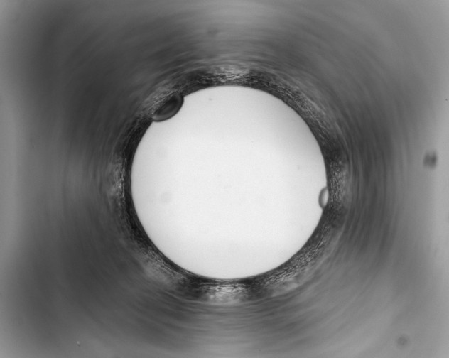 X0000103440274200810031420