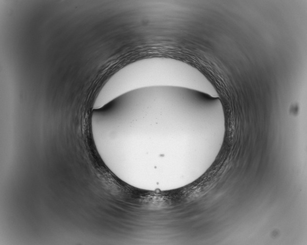 X0000103440276200810031420