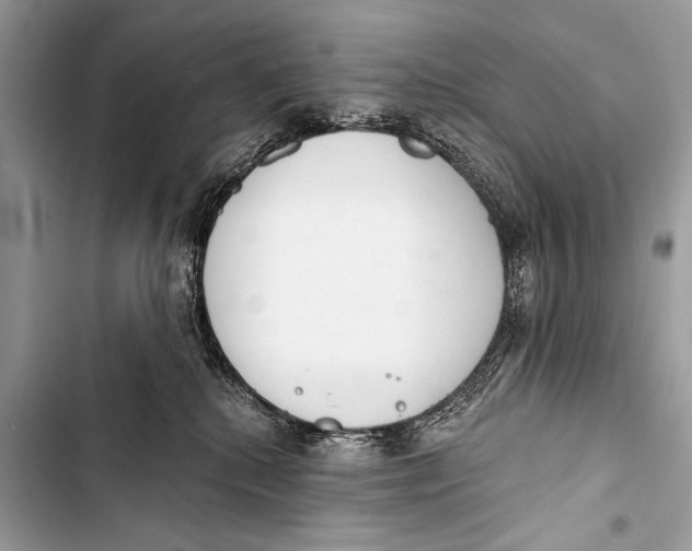 X0000103440280200810031420