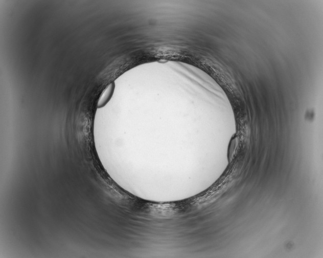 X0000103440281200810031420