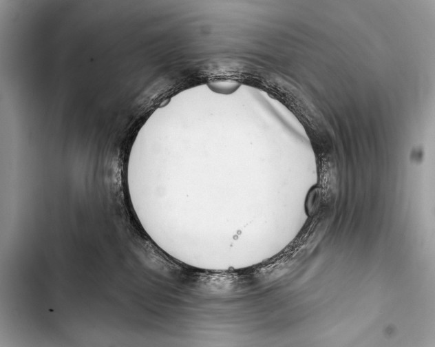 X0000103440282200810031420