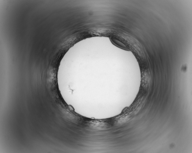 X0000103440284200810031420