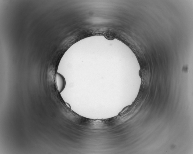 X0000103440287200810031420