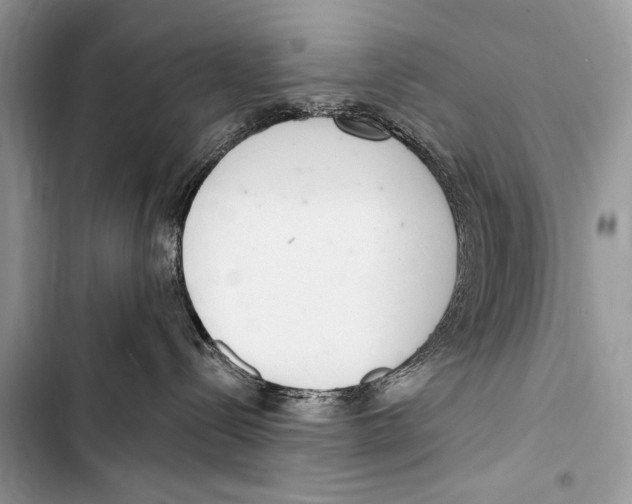 X0000103440288200810031420