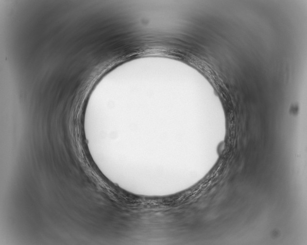 X0000103440289200810031419