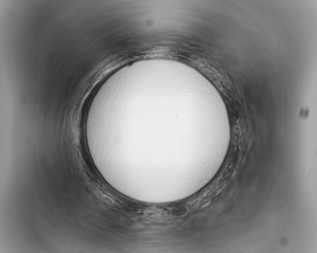 X0000103440290200810031419